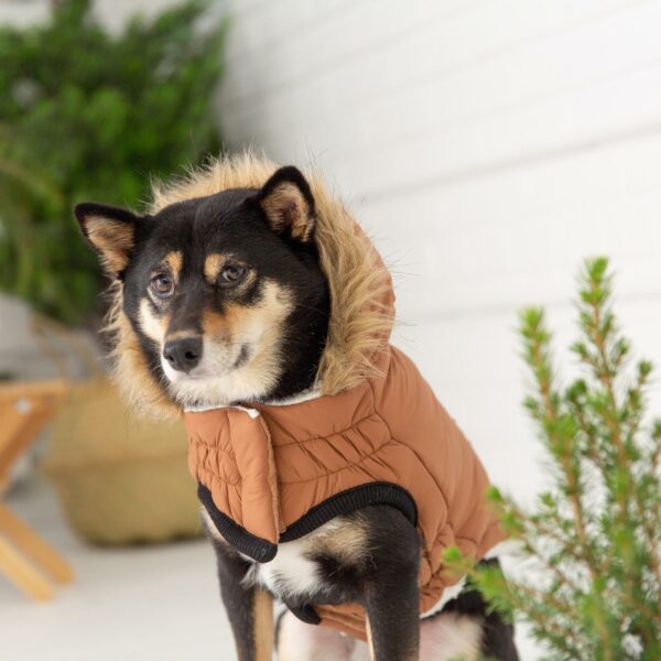 Urban Parka - Caramel - Image 5