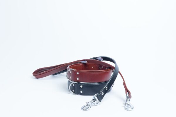 Dallas Collar - Image 31