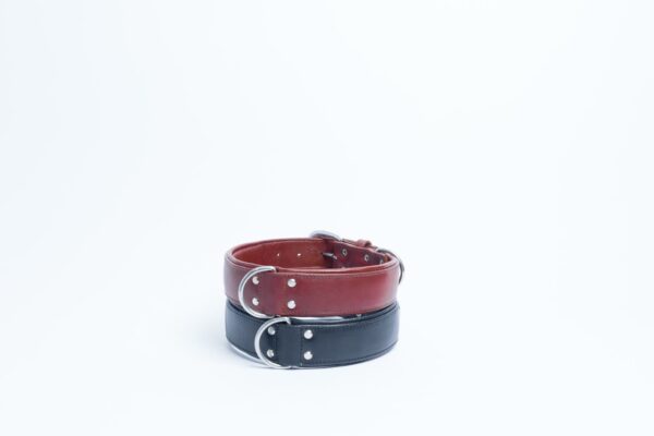 Dallas Collar - Image 32