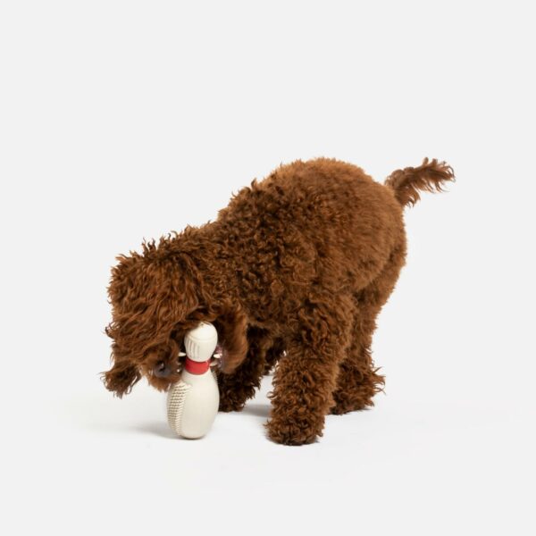 Bowling Pin With Vanilla Scent Dog Toy - Image 3