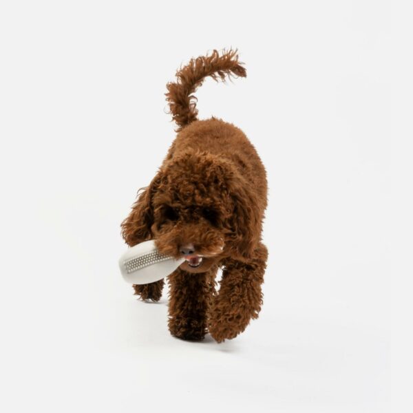 Bowling Pin With Vanilla Scent Dog Toy - Image 4