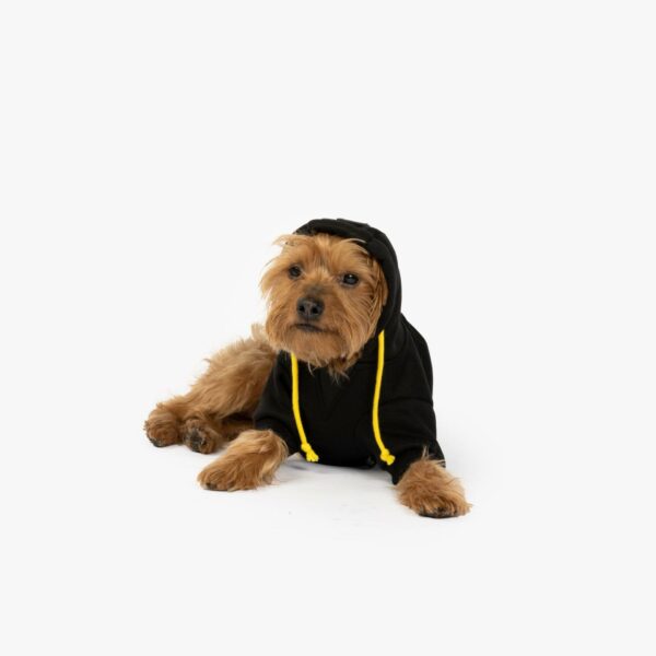 Connor Dog Hoodie - Image 5