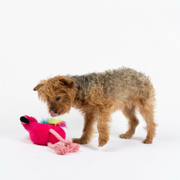 Flamingo Dog Toy - Image 2