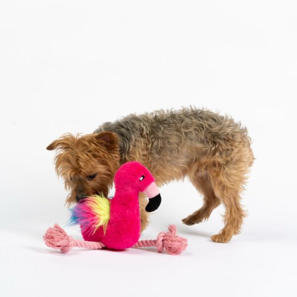 Flamingo Dog Toy - Image 3