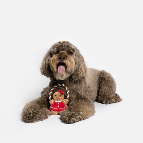 Ginger Bread Lady Dog Toy - Image 2