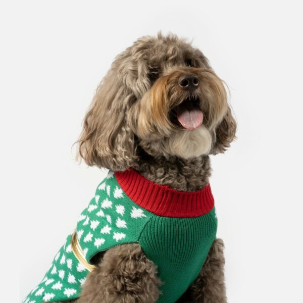 Gift Dog Sweater - Image 2