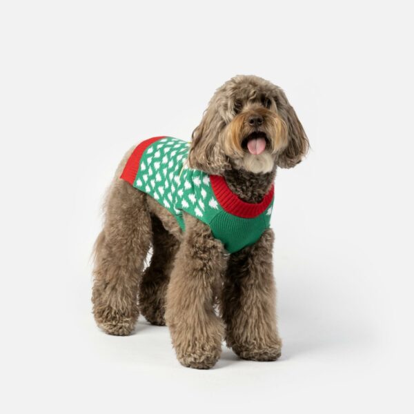 Gift Dog Sweater - Image 6