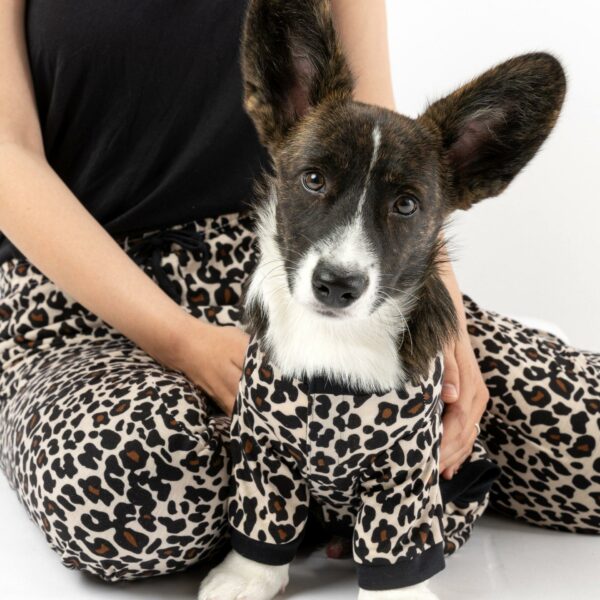 Matching Human & Dog Pajama - Leopard - Image 2