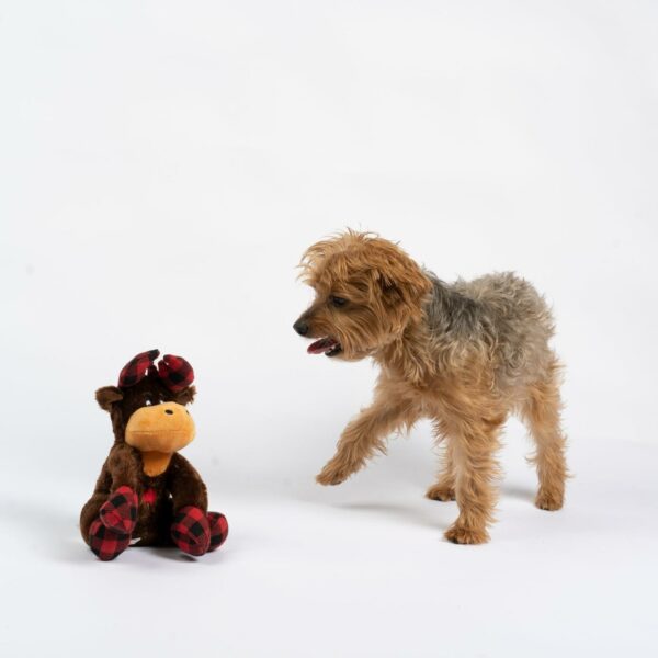 Moose Dog Toy - Image 2