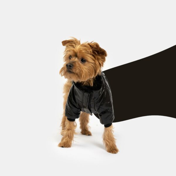 Phoenix Dog Jacket - Black - Image 2