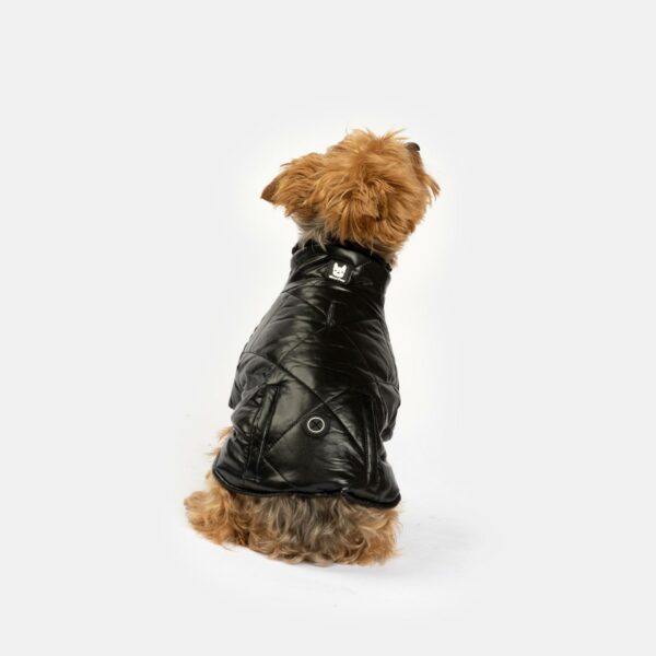 Phoenix Dog Jacket - Black - Image 5