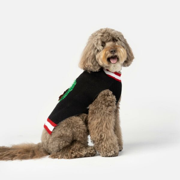 Wreath Dog Sweater - Image 4