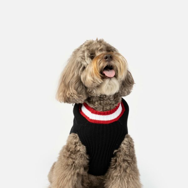 Wreath Dog Sweater - Image 5