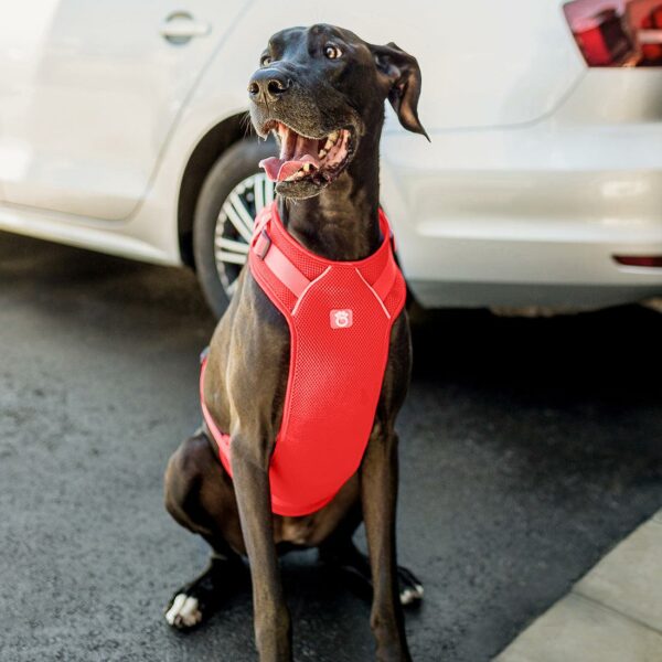 Travel Harness - Red - Image 5