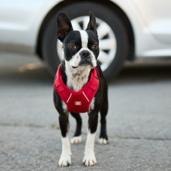 Travel Harness - Red - Image 6