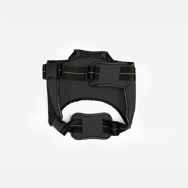 Heavy Duty Harness Black - Image 4