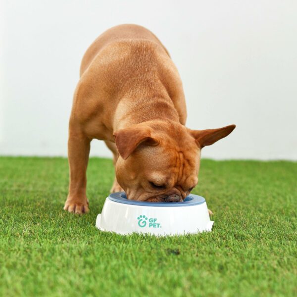 Ice Bowl - Pet Cooling Water Bowl - Image 2